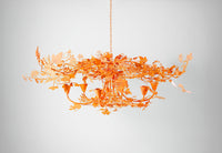 Persimmon | MCL37LC
