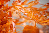 Persimmon