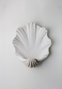Antiqued Plaster | TWL52