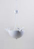 Plaster White