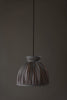 Carousel Hanging Shade