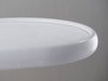 Plaster White 