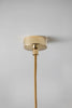 Tapered Petal Hanging Shade
