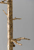 Decayed Gold
