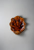 Tigers Eye