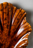 Tigers Eye