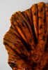 Tigers Eye