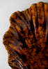 Tigers Eye