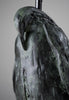 Verdigris