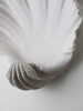 Scallop Shell Wall Light